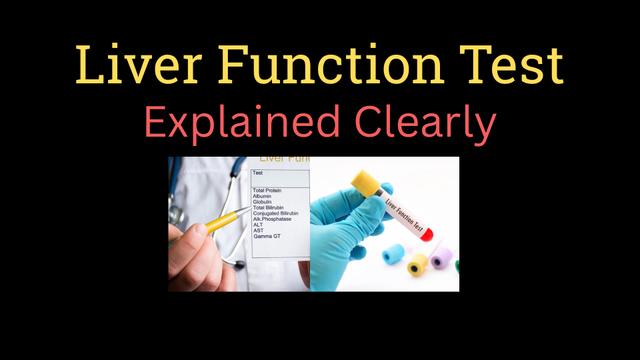 Liver function test