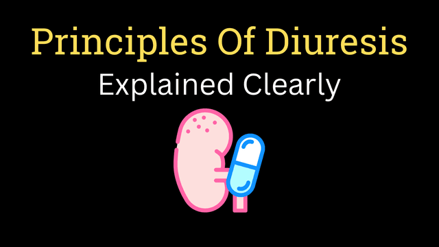 Principles of diuretics